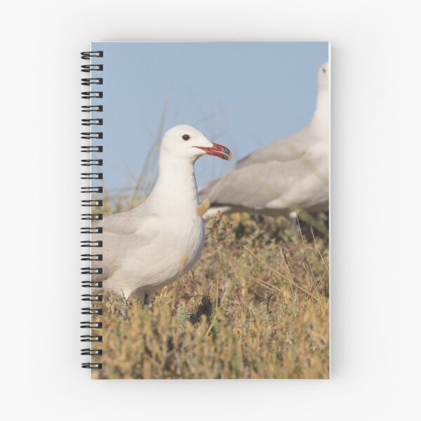 Item preview, Audouin's Gull designed and sold by LaurenTucker.
