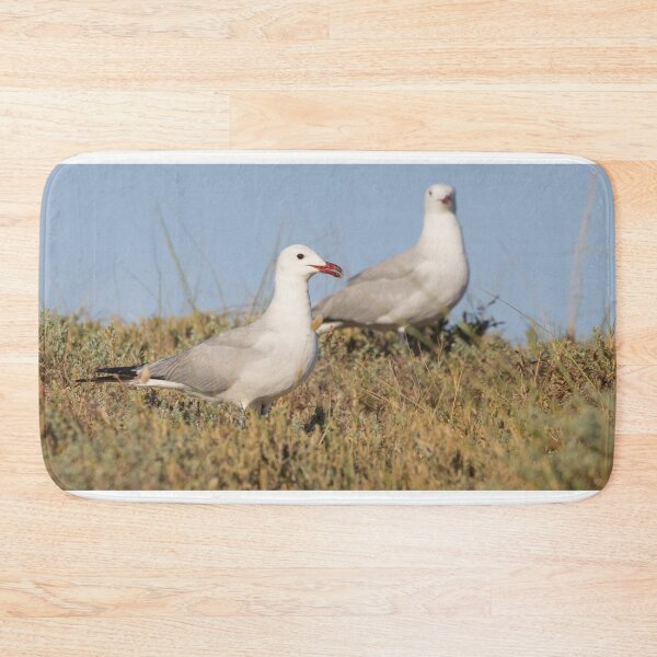 Item preview, Audouin's Gull designed and sold by LaurenTucker.
