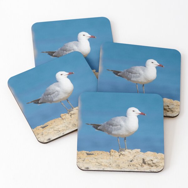 Item preview, Audouin's Gull designed and sold by LaurenTucker.