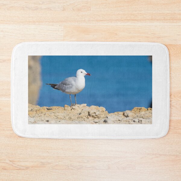 Item preview, Audouin's Gull designed and sold by LaurenTucker.
