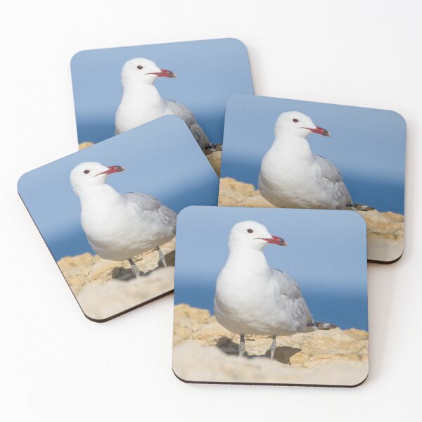 Item preview, Audouin's Gull designed and sold by LaurenTucker.