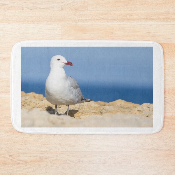 Item preview, Audouin's Gull designed and sold by LaurenTucker.