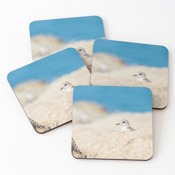 Item preview, Kentish Plover designed and sold by LaurenTucker.