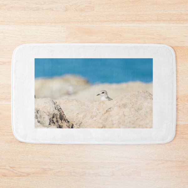 Item preview, Kentish Plover designed and sold by LaurenTucker.