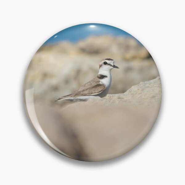 Item preview, Kentish Plover designed and sold by LaurenTucker.
