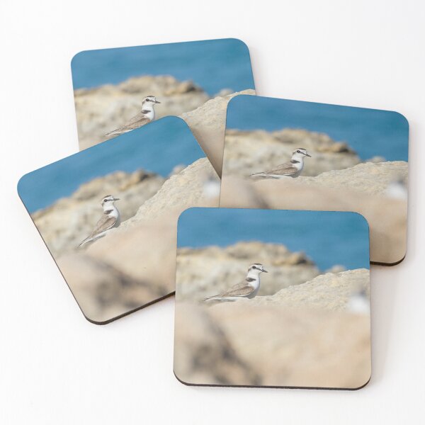 Item preview, Kentish Plover designed and sold by LaurenTucker.