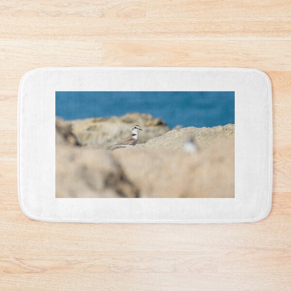 Item preview, Kentish Plover designed and sold by LaurenTucker.