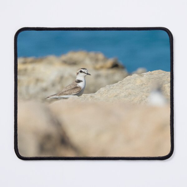 Item preview, Kentish Plover designed and sold by LaurenTucker.