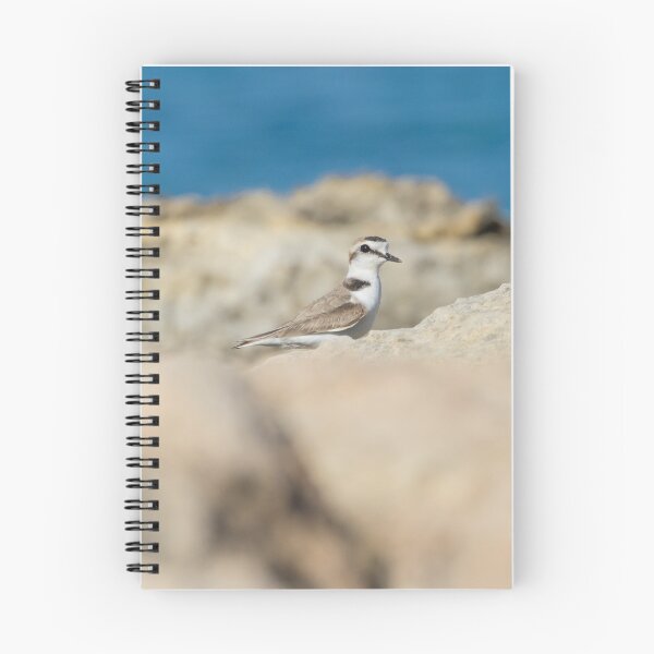 Item preview, Kentish Plover designed and sold by LaurenTucker.