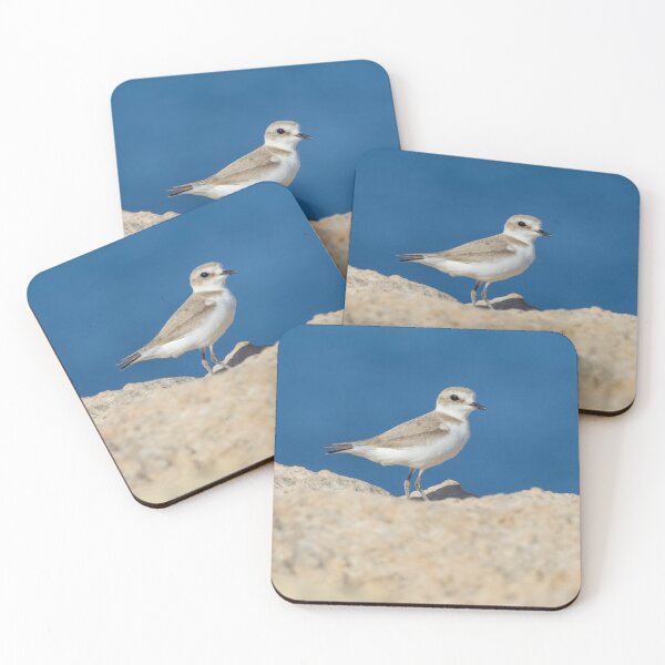 Item preview, Kentish Plover designed and sold by LaurenTucker.