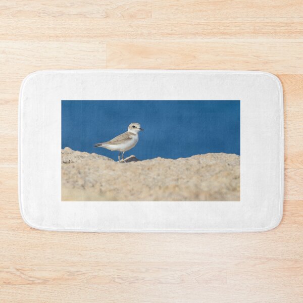 Item preview, Kentish Plover designed and sold by LaurenTucker.