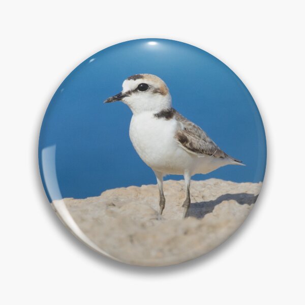 Item preview, Kentish Plover designed and sold by LaurenTucker.