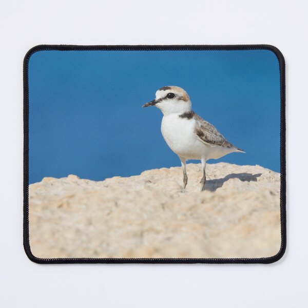 Item preview, Kentish Plover designed and sold by LaurenTucker.