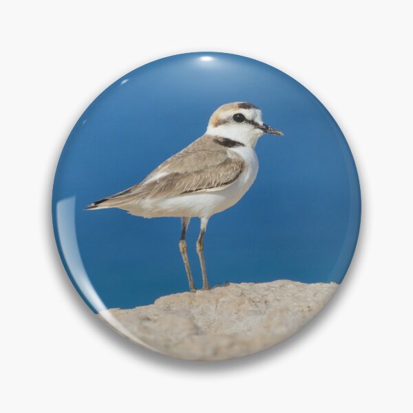 Item preview, Kentish Plover designed and sold by LaurenTucker.