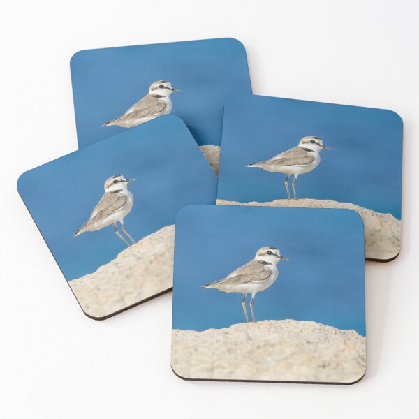 Item preview, Kentish Plover designed and sold by LaurenTucker.