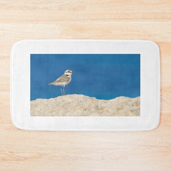 Item preview, Kentish Plover designed and sold by LaurenTucker.
