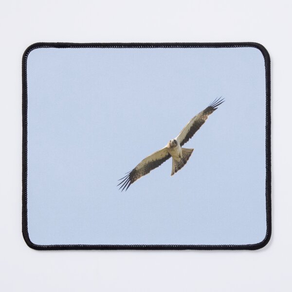 Item preview, Booted Eagle designed and sold by LaurenTucker.