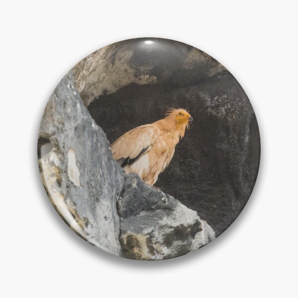 Item preview, Egyptian Vulture designed and sold by LaurenTucker.