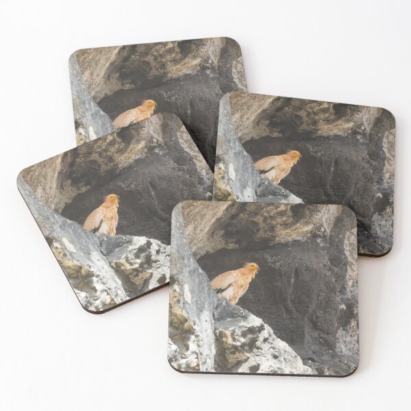 Item preview, Egyptian Vulture designed and sold by LaurenTucker.
