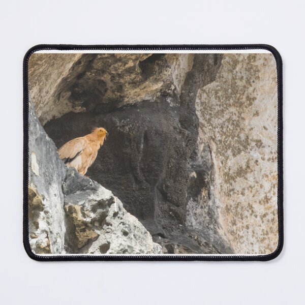 Item preview, Egyptian Vulture designed and sold by LaurenTucker.