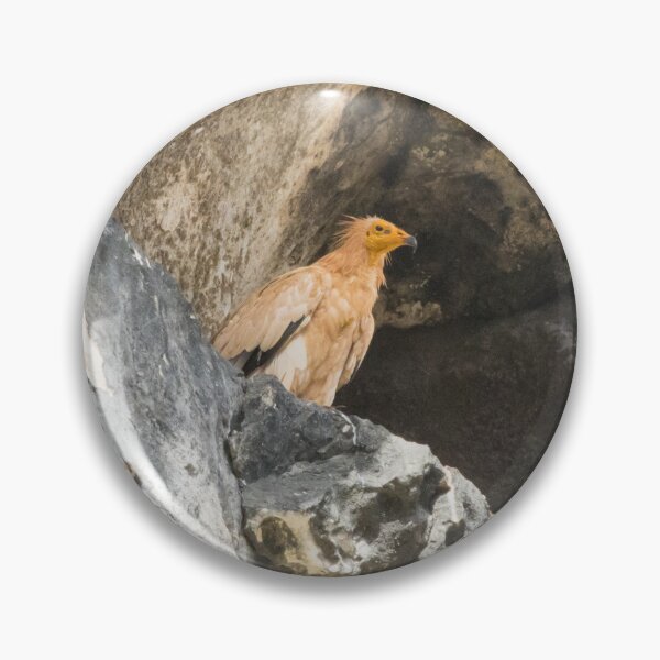 Item preview, Egyptian Vulture designed and sold by LaurenTucker.
