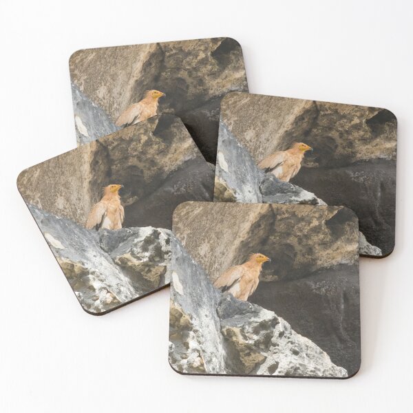 Item preview, Egyptian Vulture designed and sold by LaurenTucker.