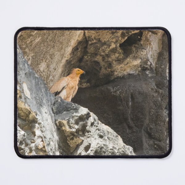 Item preview, Egyptian Vulture designed and sold by LaurenTucker.