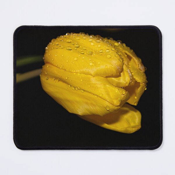 Item preview, Yellow Tulip designed and sold by sharmander12.