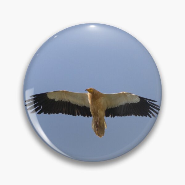 Item preview, Egyptian Vulture designed and sold by LaurenTucker.