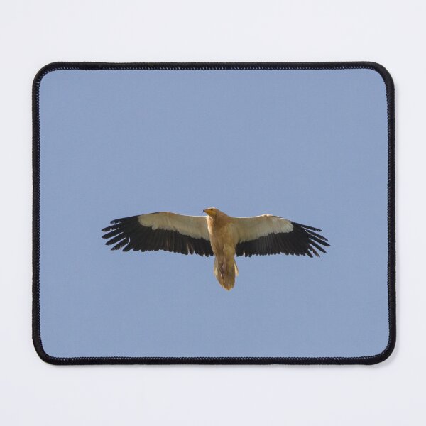 Item preview, Egyptian Vulture designed and sold by LaurenTucker.