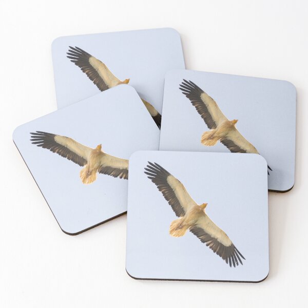 Item preview, Egyptian Vulture designed and sold by LaurenTucker.