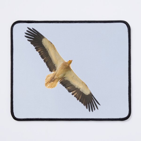 Item preview, Egyptian Vulture designed and sold by LaurenTucker.