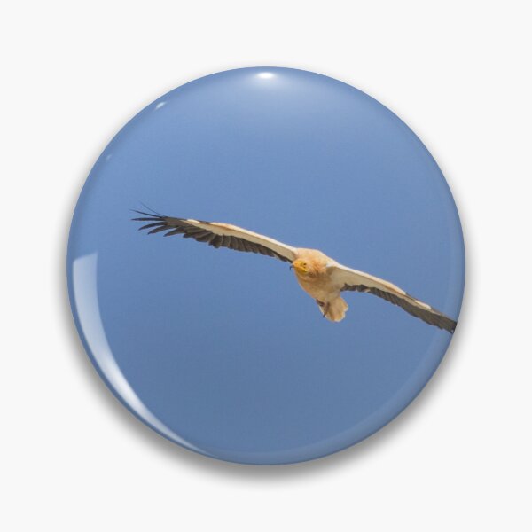 Item preview, Egyptian Vulture designed and sold by LaurenTucker.