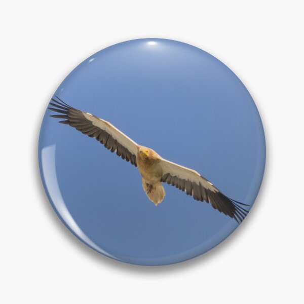 Item preview, Egyptian Vulture designed and sold by LaurenTucker.