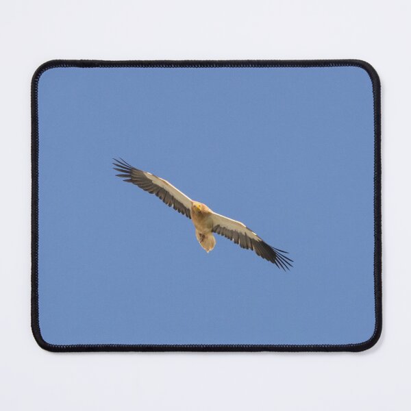 Item preview, Egyptian Vulture designed and sold by LaurenTucker.