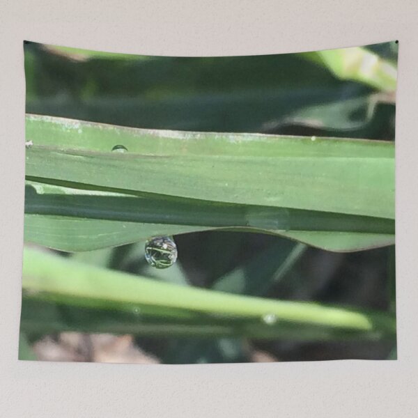 Item preview, Droplet, real photograph designed and sold by GiSilver.