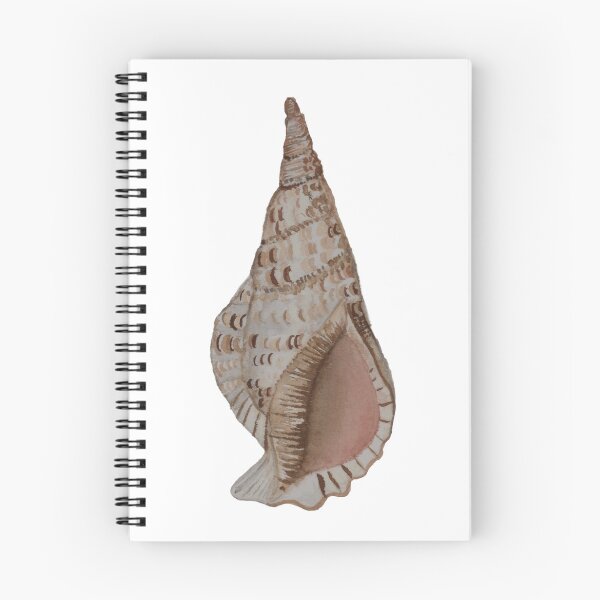 Item preview, Watercolor Triton's Trumpet Shell designed and sold by ARTIFIED.BY.FRIENDSHIP.