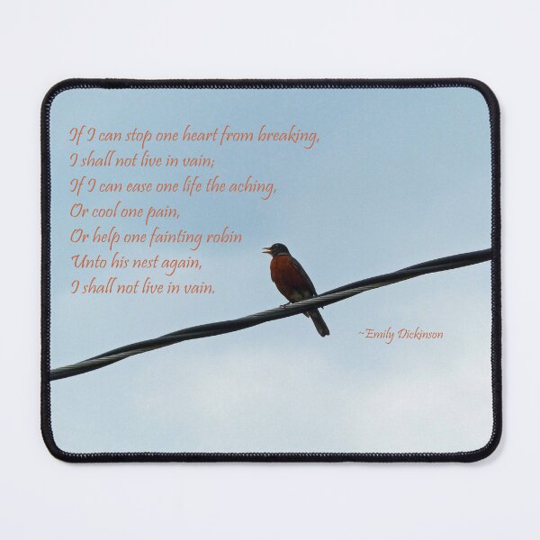 Item preview, Robin on a Wire designed and sold by Frankie Cat Photography.