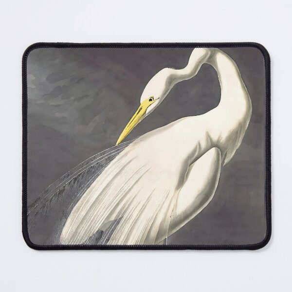 Item preview, The Great White Egret - John James Audubon designed and sold by Jon-Baran.