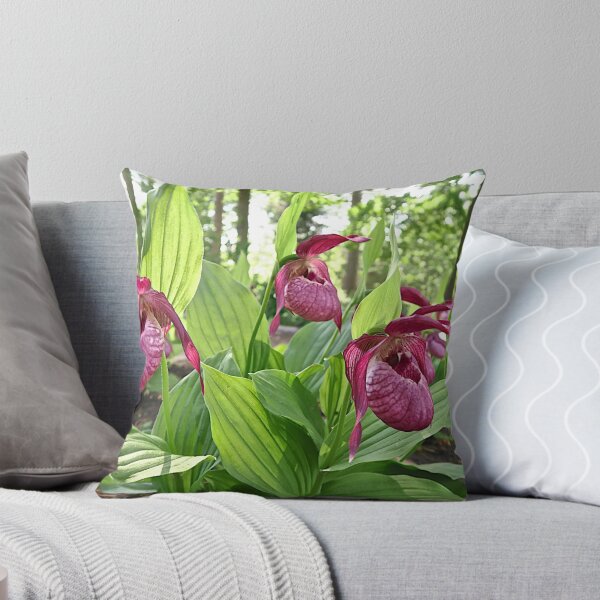 Item preview, Kentucky Pink designed and sold by John Thurgood.