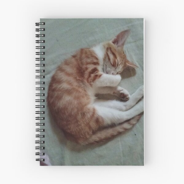 Item preview, Sleeping cat  designed and sold by Nashwajudy.