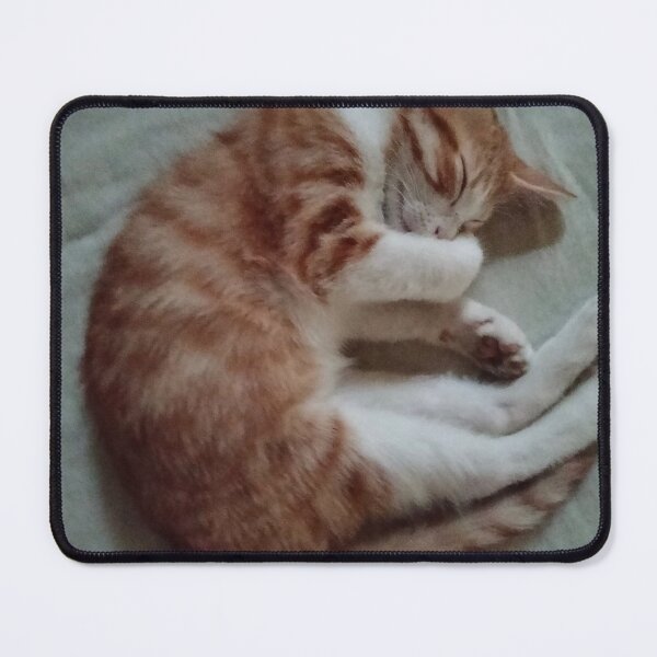 Item preview, Sleeping cat  designed and sold by Nashwajudy.