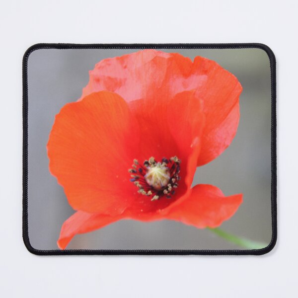 Item preview, Poppy designed and sold by MFranksPhotos.