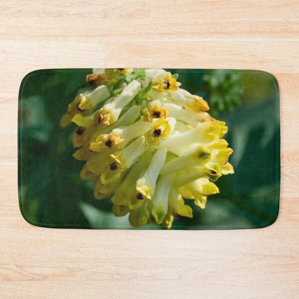 Item preview, Springtime flowers. Noble-flowered Birthwort designed and sold by Jouko Lehto Photography.