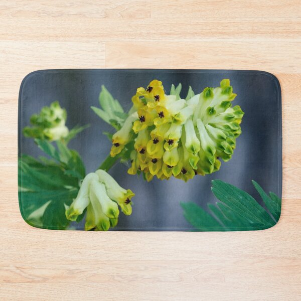 Item preview, Siberian corydalis. Noble-flowered Birthwort designed and sold by Jouko Lehto Photography.