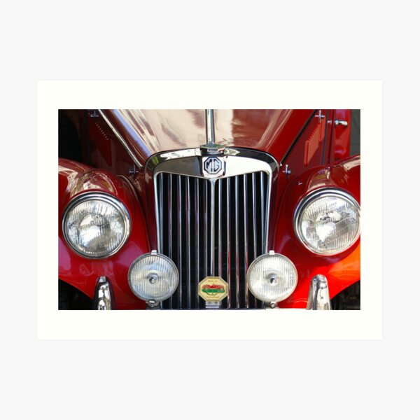 Grille Power (Just Like The Spice Girls Said!) Art Print