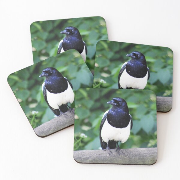 Item preview, Magpie  designed and sold by MFranksPhotos.