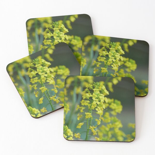 Item preview, Yellow rocketcress. Wintercress designed and sold by Jouko Lehto Photography.