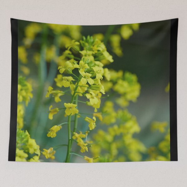 Item preview, Yellow rocketcress. Wintercress designed and sold by Jouko Lehto Photography.