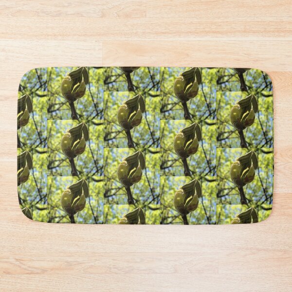 Item preview, Another Unfurling Leaf, REAL photograph designed and sold by GiSilver.